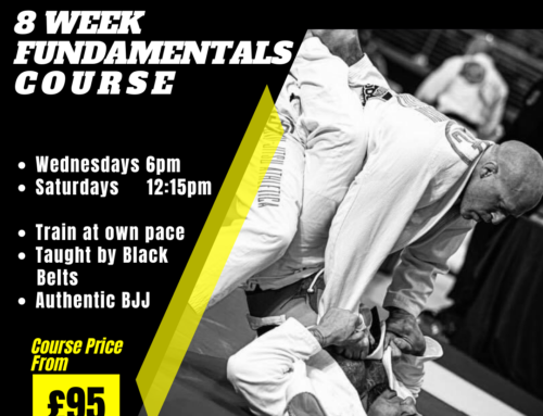 Brazilian Jiu Jitsu Fundamentals