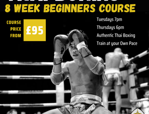 Beginners Thai Boxing Course